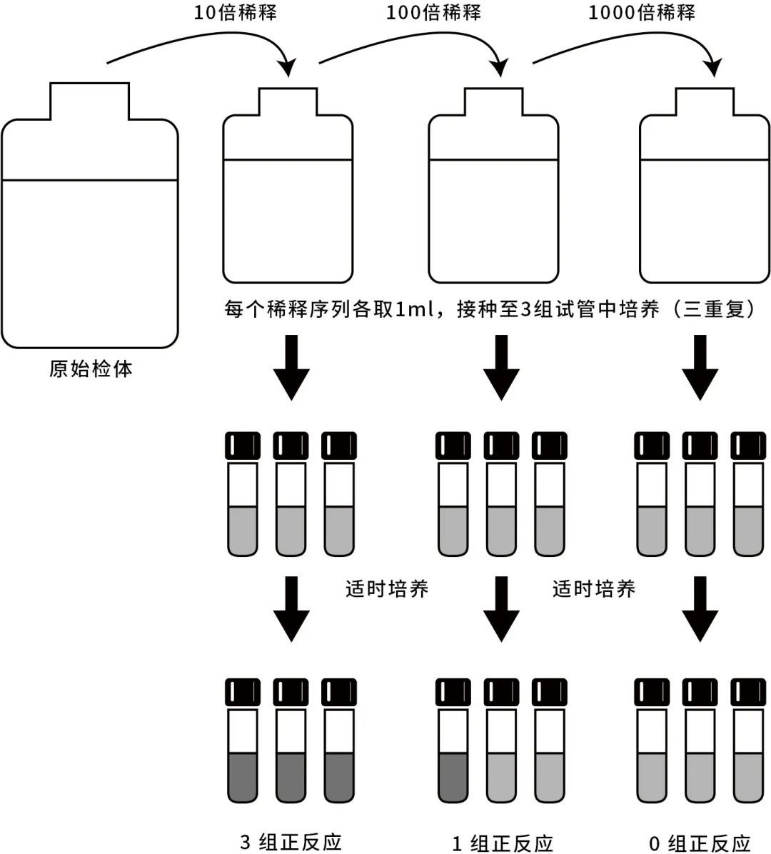 最大可能数(Most probable number)法简易流程图