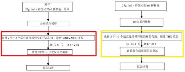 大肠埃希氏菌平板计数法检验程序（左：2012版   右：征求意见稿）