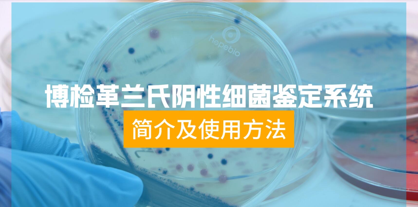 操作视频｜博检革兰氏阴性细菌鉴定系统简介及使用方法