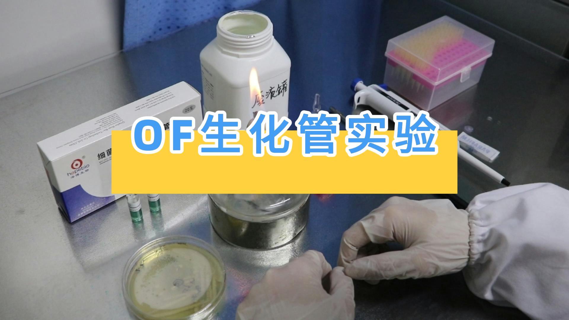 操作视频｜OF生化管实验