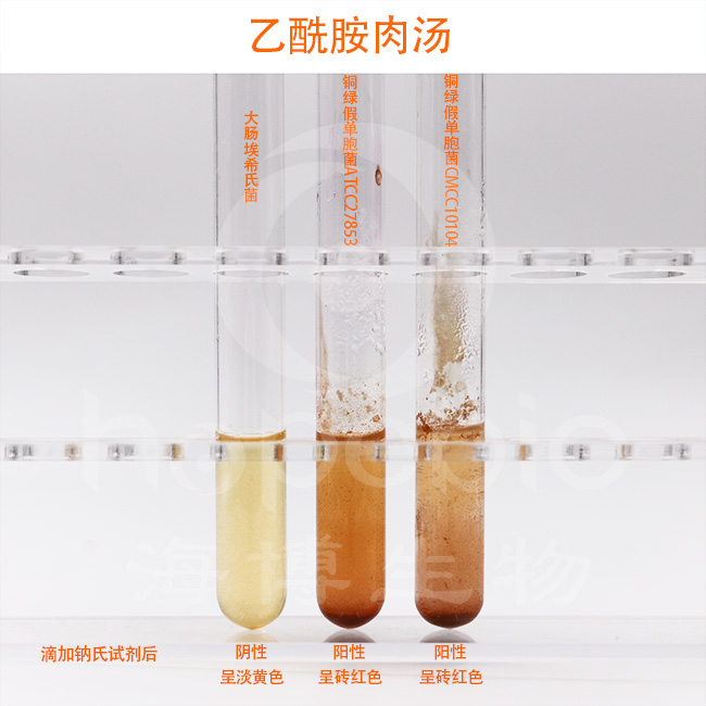 乙酰胺肉汤管