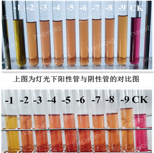 猪肺炎支原体在猪支原体培养基上培养12天时的灵敏度